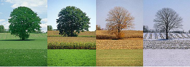 2D平台探索合作游戏《遵命！机母大人》现已推出试玩Demo